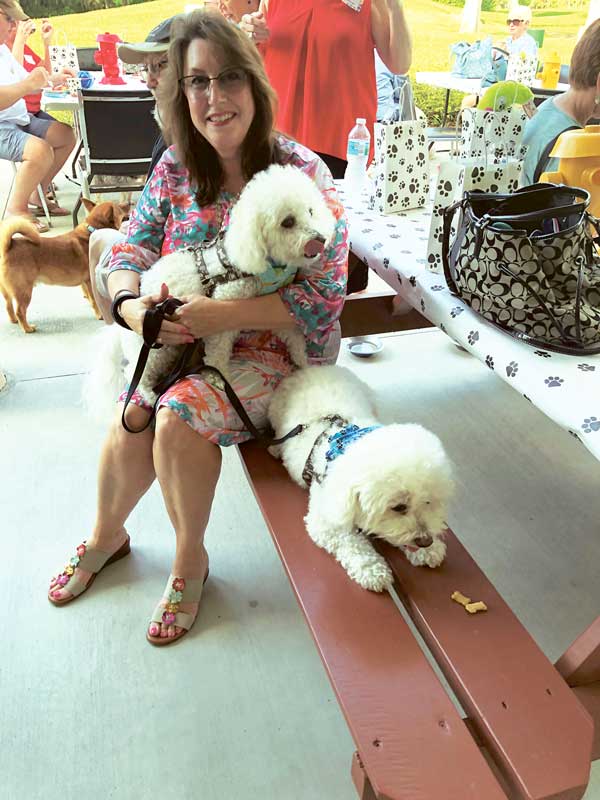 Photo Gallery The Meadows Community Association of Sarasota, Florida