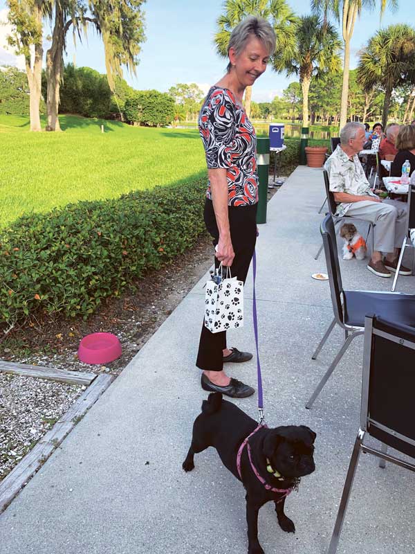 Photo Gallery The Meadows Community Association of Sarasota, Florida