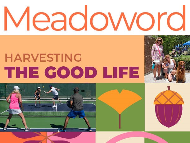April 2021 Meadoword issue