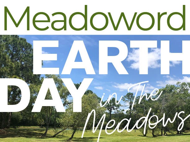 treasure hunt cta image