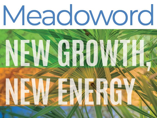 treasure hunt cta image